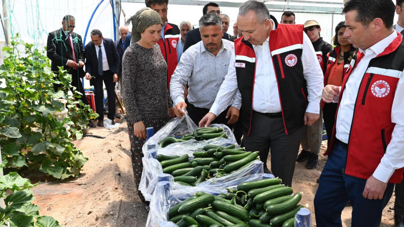 Vali Ali Fidan, Yeşilöz Köyündeki Serayı İnceledi