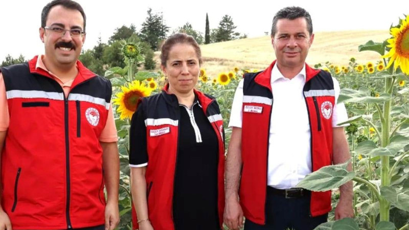 Gülşehir'de Yağlık Ayçiçeği Üretimi Yaygınlaştırılacak