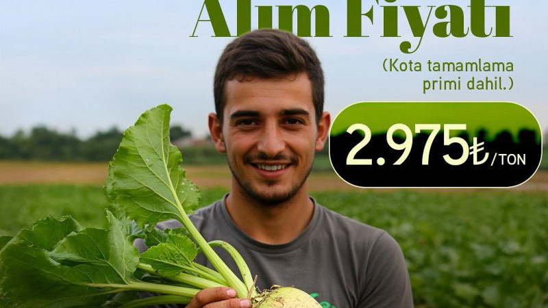 2025 Yılı Şeker Pancarı Baz Alım Kesin Fiyatı Belli Oldu