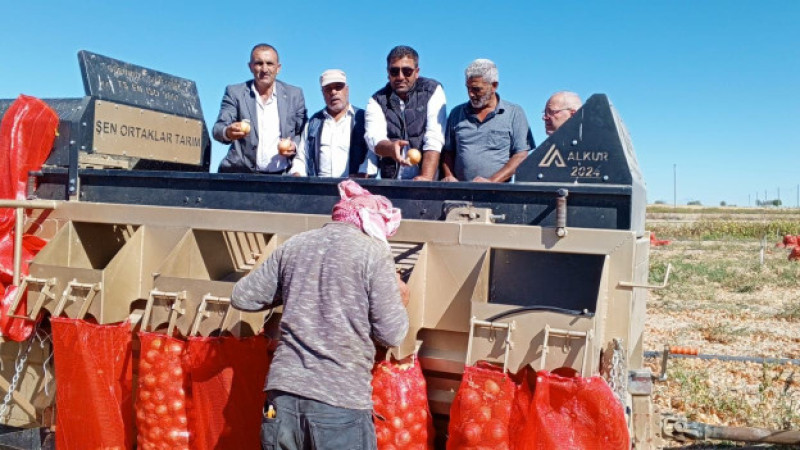 Gülşehir’de Kuru Soğan Hasadı Başladı