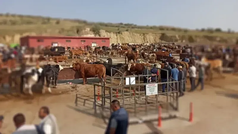 Nevşehir Hayvan Pazarı Geçici Olarak Kapatıldı