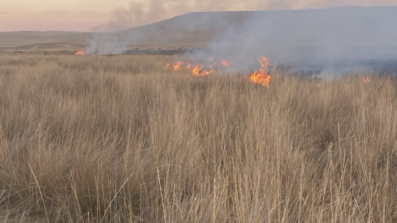 Köyde Çıkan Arazi Yangını Kısa Sürede Söndürüldü