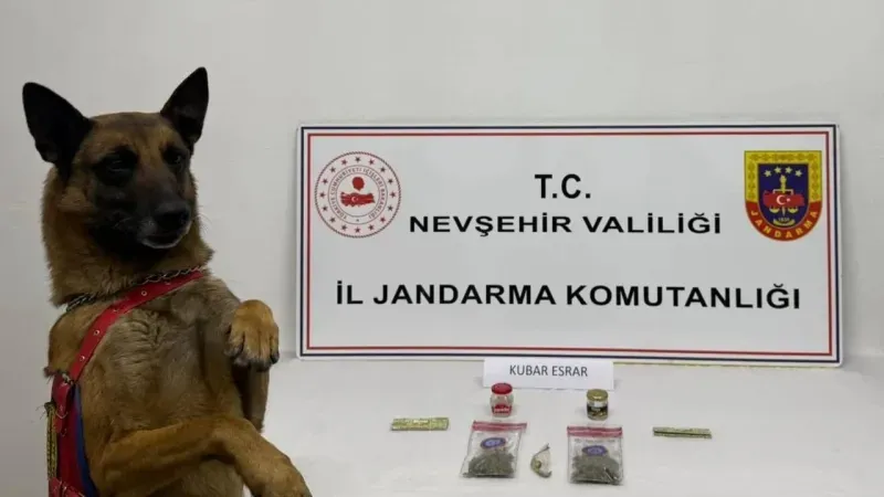 Gülşehir’de Jandarma Zehir Tacirlerine Göz Açtırmıyor