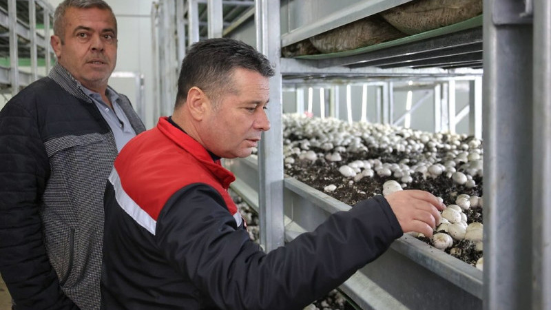 Gülşehir’de Mantarcılık İşletmesine KKYDP Desteği