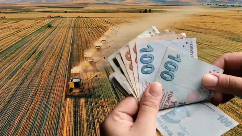 2026 Yılı Buğday ve Arpa Destek Miktarları Belli Oldu