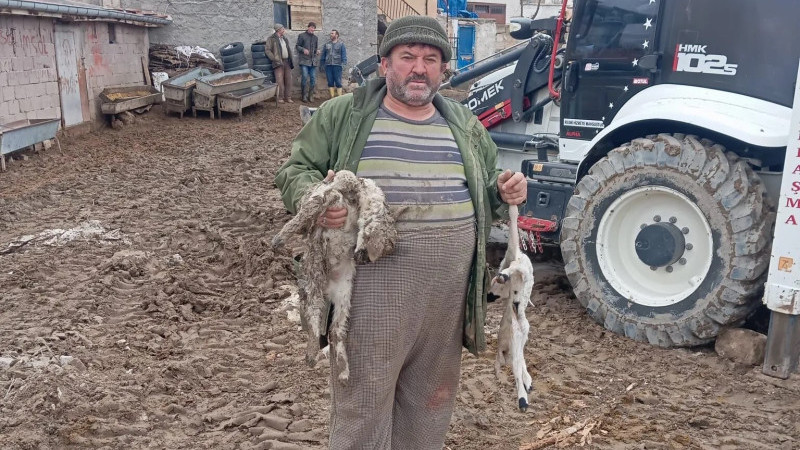 Gümüşkent’te Ağılı Uçan Çiftçinin Kuzuları Telef Oldu