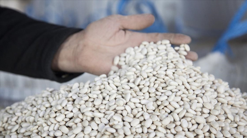 Nevşehir’de 2026 Yılı Kuru Fasulye Destekleri Açıklandı