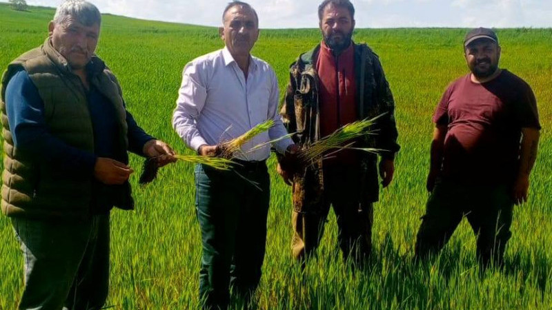Gülşehir Ziraat Odası, Tarım Arazilerini Yerinde İnceledi