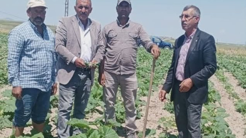 Ziraat Odası Başkanlarından Çiftçilere Saha Ziyareti
