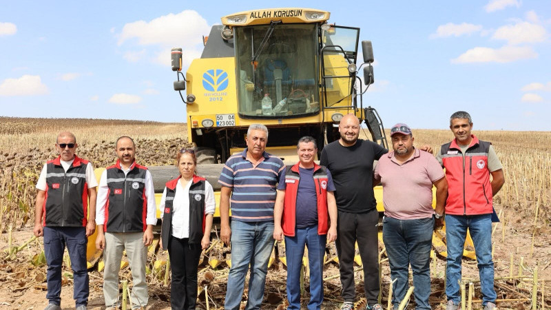 Nevşehir İl Genelinde Ayçiçeği Hasadı Devam Ediyor